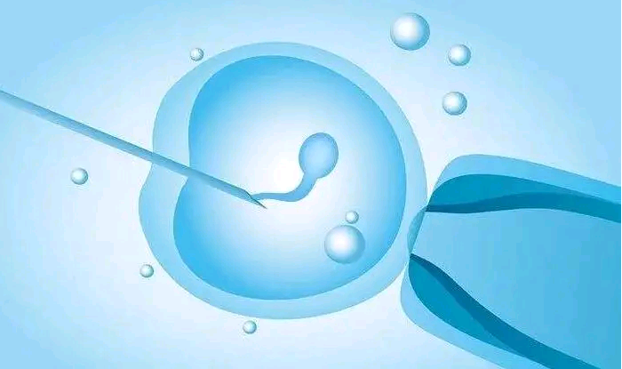 四川代妈网代怀孕|排卵功能障碍做泰国试管婴儿如何备孕？